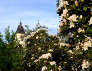 1.ogrod_botaniczny_w_zagwizdziu_murow